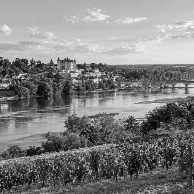 Photo de la région Pays de la Loire en France l Groupe Aquila détective privée